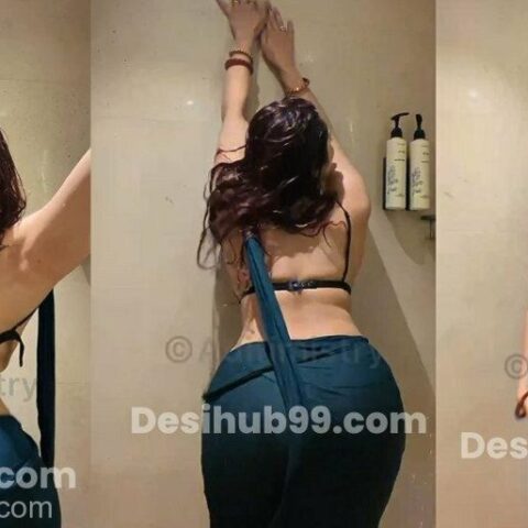 Aditi Mistry Nude – foto 11